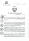 Vista preliminar de documento RD N°319-10-2024-DE-HCLLH-MINSA