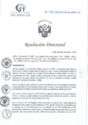 Vista preliminar de documento RD N°321-10-2024-DE-HCLLH-MINSA