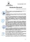 Vista preliminar de documento RD Nº 230-2024-DGINSM-HD-HN