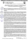 Vista preliminar de documento RGM 1138-2024