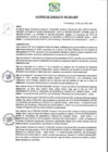 Vista preliminar de documento AC-2024-060