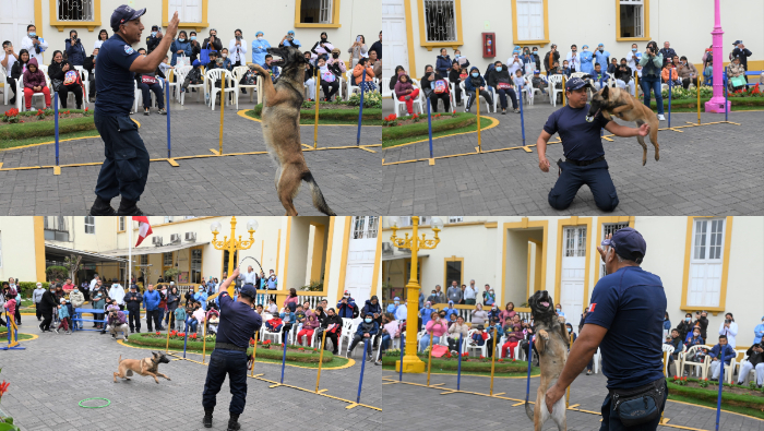 Brigada Canina de la Municipalidad de Lima