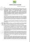 Vista preliminar de documento AC-2024-065
