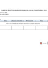 Vista preliminar de documento Reporte Liquidación de Obras 2020