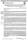 Vista preliminar de documento RGM 1139-2024