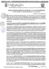 Vista preliminar de documento RGM 1142-2024
