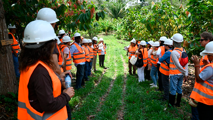 UCAYALI RUTA CACAO
