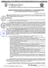Vista preliminar de documento RGM 1149-2024