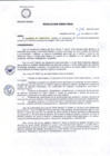 Vista preliminar de documento R.D 176-24-DG