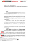 Vista preliminar de documento RESOLUCION DIRECCION EJECUTIVA-000597-2024-DE