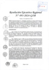 Vista preliminar de documento RER 493-2024-GOB