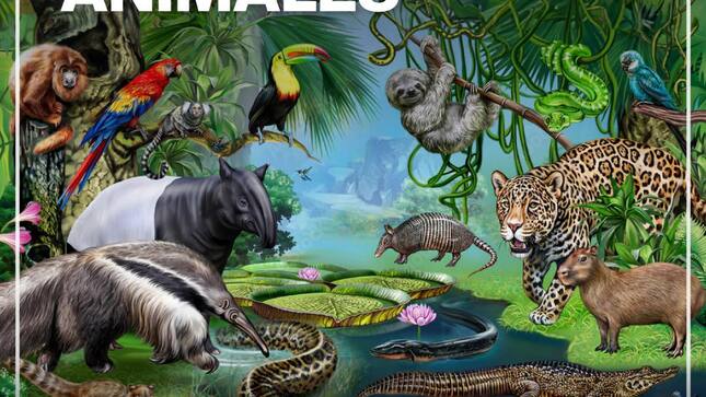 Archivo en imagen