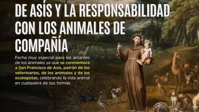 Archivo en imagen