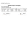 Vista preliminar de documento Anexo de Responsables del Manejo de Cuentas Bancarias