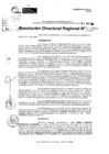 Vista preliminar de documento RDR 8868-2024