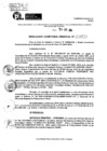 Vista preliminar de documento RDR 8873-2024