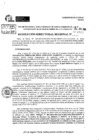 Vista preliminar de documento RDR 8885-2024