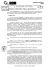 Vista preliminar de documento RDR 8893-2024
