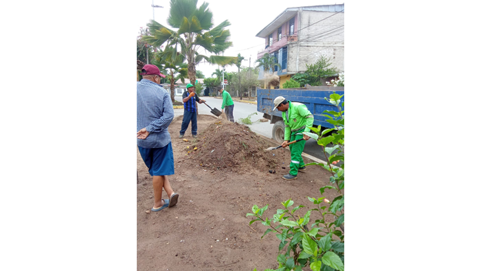 Mejoramiento de รกreas verdes del sector Puerto Azul.