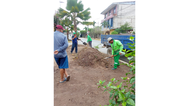 Mejoramiento de áreas verdes del sector Puerto Azul.
