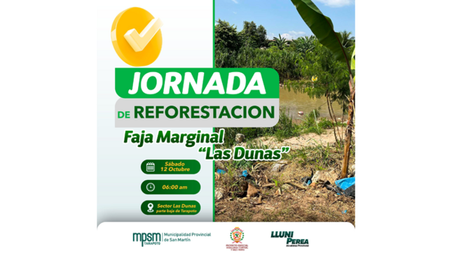 Gran Jornada de reforestación en la faja marginal "Las Dunas", ubicada en la parte baja de la ciudad de Tarapoto. 
