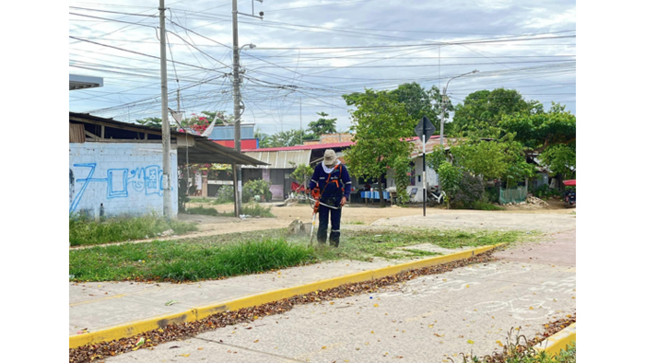 Limpieza y desmalezado del parque "Los Olivos" y la Alameda "Paiche Uma", en la parte baja de la ciudad de Tarapoto.