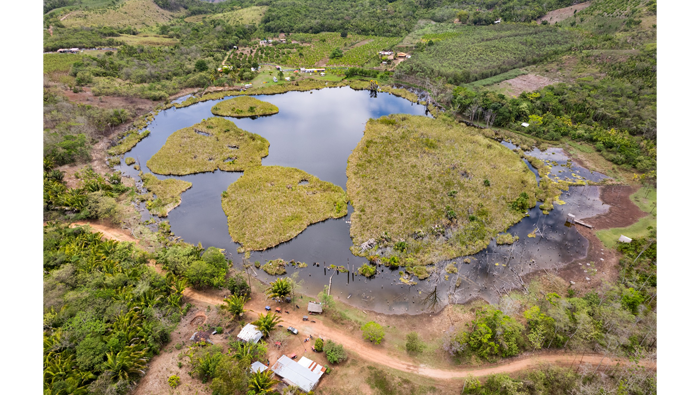 IntervenciΓ³n y Limpieza Integral a la laguna "Andiviela", ubicado en el distrito de Morales.
