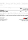 Vista preliminar de documento ANEXO 06 Nro 106