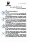 Vista preliminar de documento RD Nº 222-2024-DGINSM-HD-HN