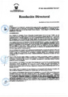 Vista preliminar de documento RD Nº 229-2024-DGINSM-HD-HN