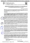 Vista preliminar de documento RGM 1167-2024