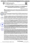 Vista preliminar de documento RGM 1170-2024