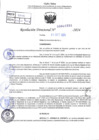 Vista preliminar de documento R.D 1934-2024