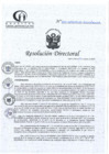 Vista preliminar de documento RD N°323-10-2024-DE-HCLLH-MINSA