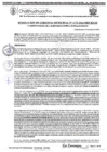 Vista preliminar de documento RGM 1175-2024