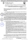 Vista preliminar de documento RGM 1176-2024