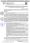 Vista preliminar de documento RGM 1177-2024