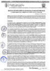 Vista preliminar de documento RGM 1181-2024