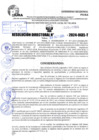 Vista preliminar de documento R.D 1924-2024