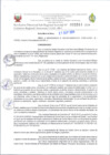 Vista preliminar de documento RD- LINEAMIENTOS DE RECONOCIMIENTO SCI. (1)