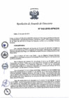 Vista preliminar de documento N°042-2018-APN-DIR