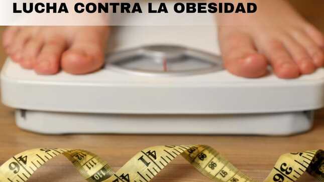 dia obesidad