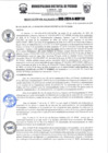 Vista preliminar de documento r393