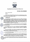 Vista preliminar de documento N°049-2018-APN-DIR
