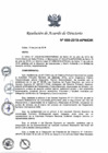 Vista preliminar de documento N°050-2018-APN-DIR