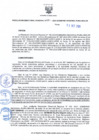 Vista preliminar de documento RDR N 291-10112024154843