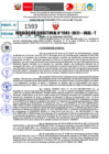 Vista preliminar de documento R.D 1592-2021