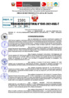 Vista preliminar de documento R.D 1585-2021