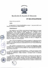 Vista preliminar de documento N°052-2018-APN-DIR