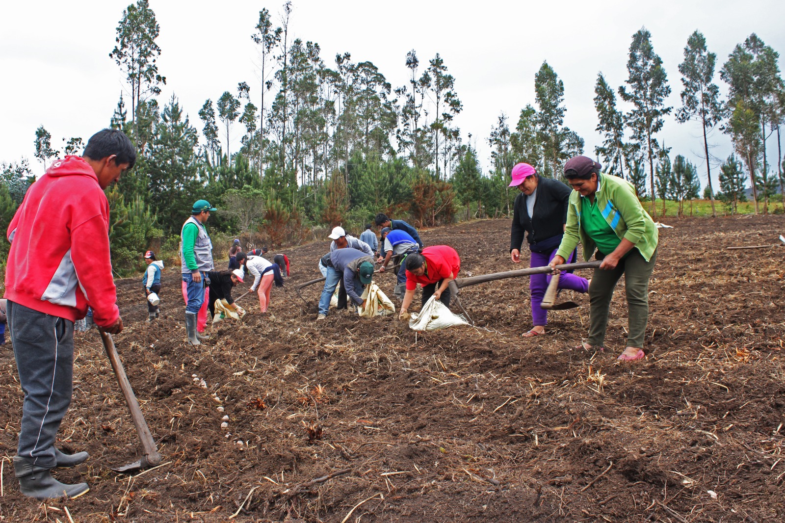 AGRO RURAL